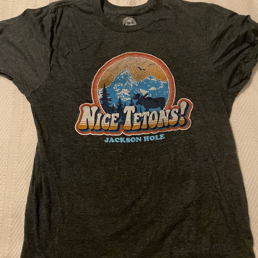 Gray Graphic T-Shirt with Mountain Design